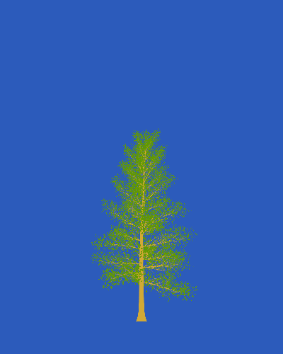 Treee