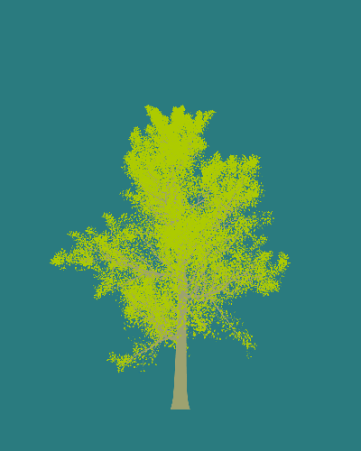 Treee