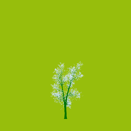 Treee