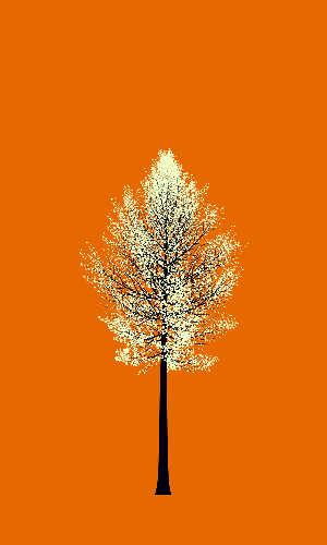 Treee