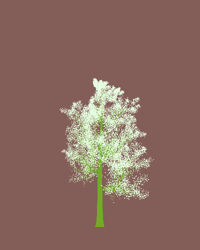Treee