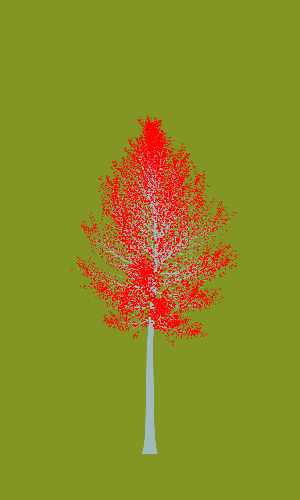 Treee