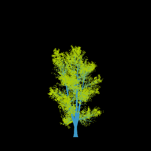 Treee