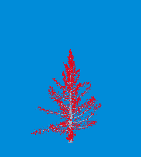 Treee