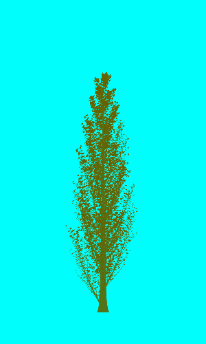 Treee