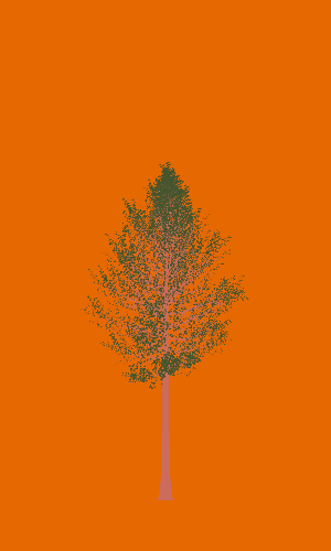 Treee