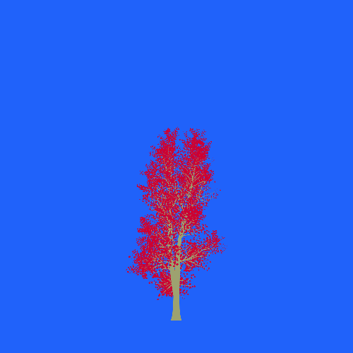 Treee