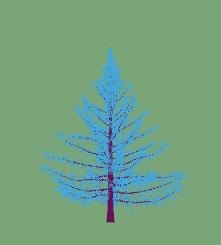 Treee