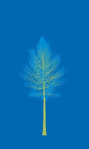 Treee