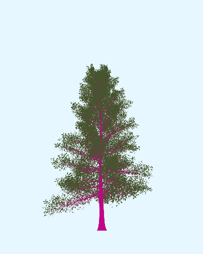 Treee