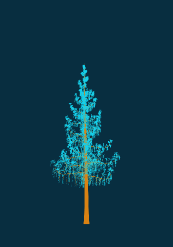 Treee