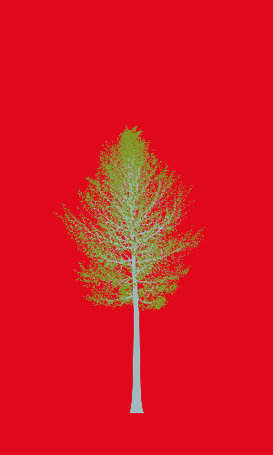 Treee