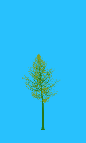 Treee