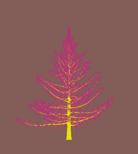 Treee