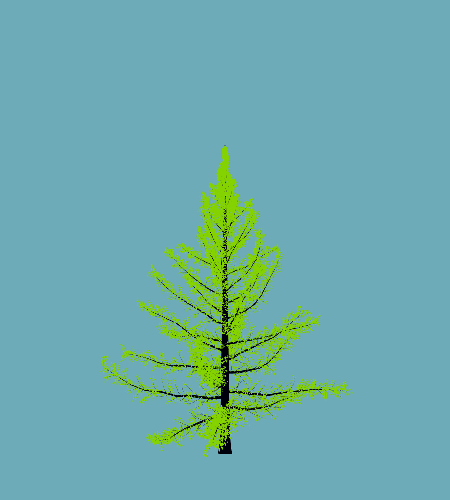 Treee