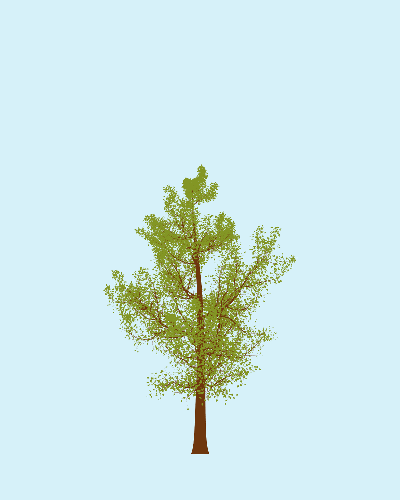 Treee