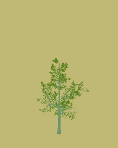 Treee