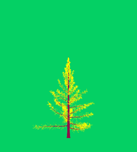 Treee