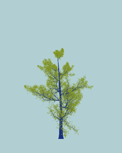 Treee