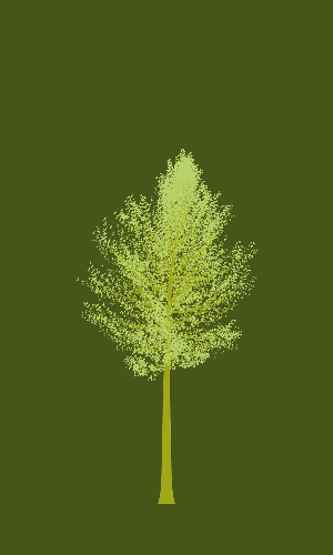 Treee