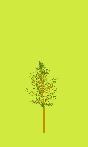 Treee