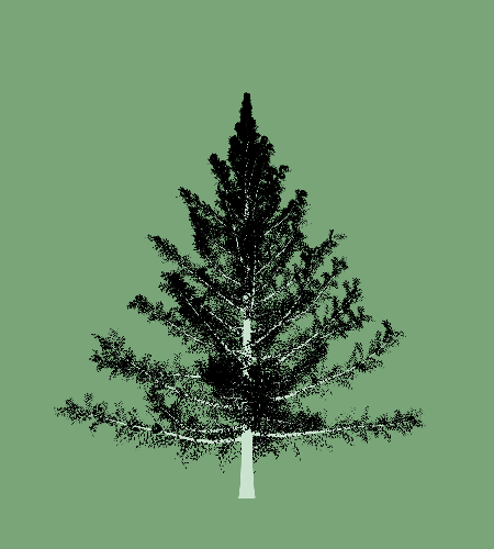Treee