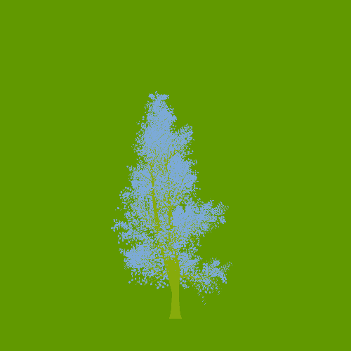 Treee
