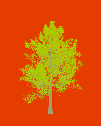 Treee