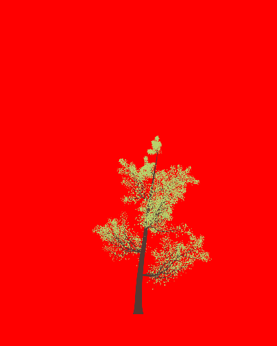 Treee