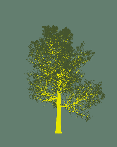 Treee