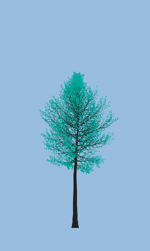 Treee