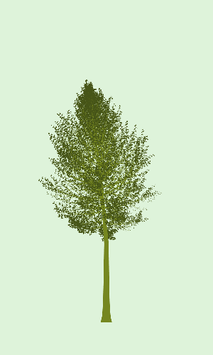 Treee