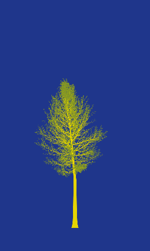 Treee