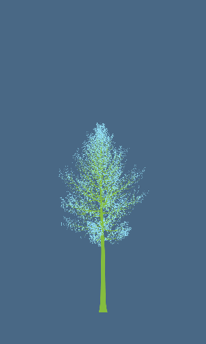 Treee
