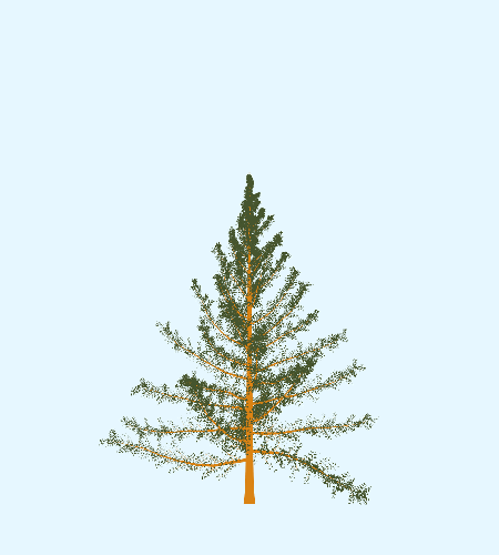 Treee