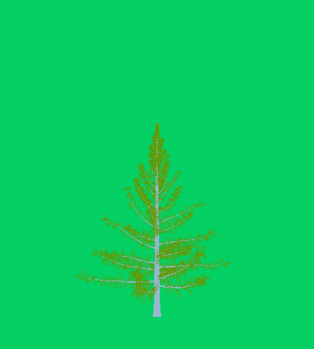 Treee
