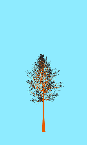Treee