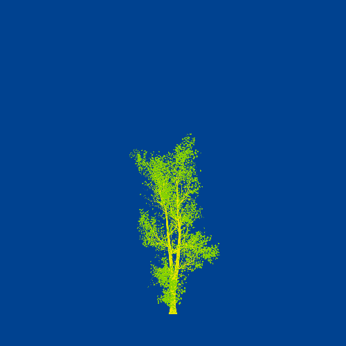 Treee