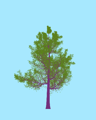 Treee