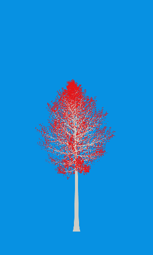 Treee