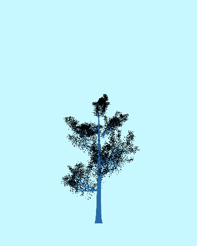 Treee
