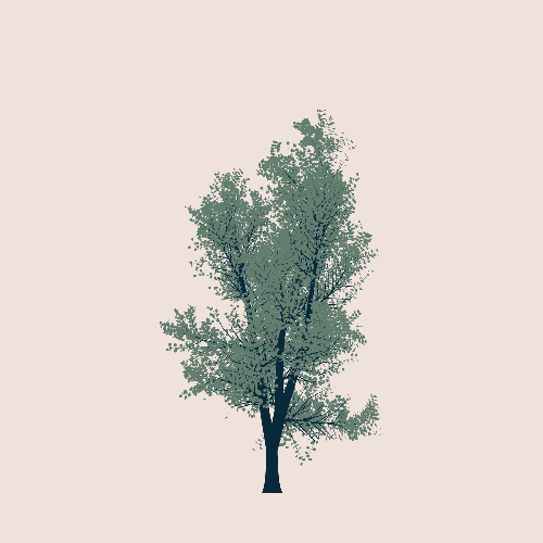 Treee
