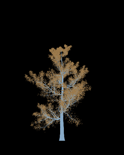 Treee