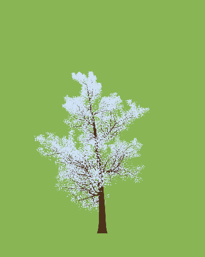 Treee