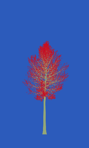 Treee