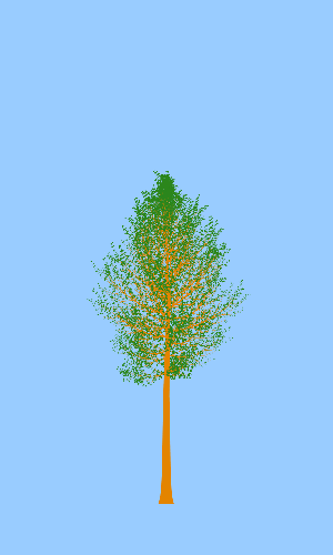 Treee