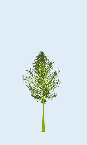 Treee