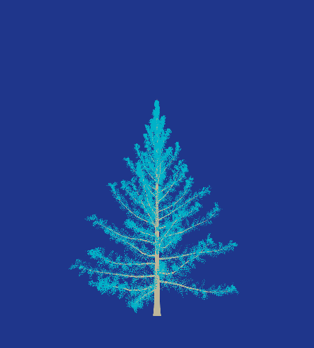 Treee