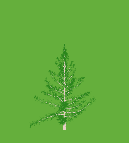 Treee