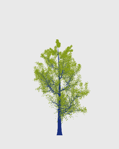 Treee